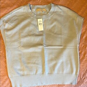 LOFT Soft Blue Knit Top